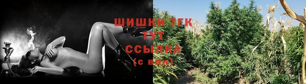 альфа пвп Сосновоборск