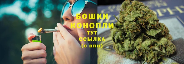 дурь Болотное