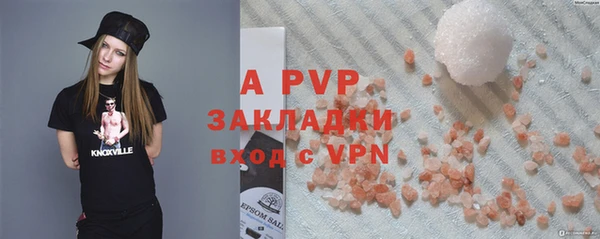 шишки Сосновка