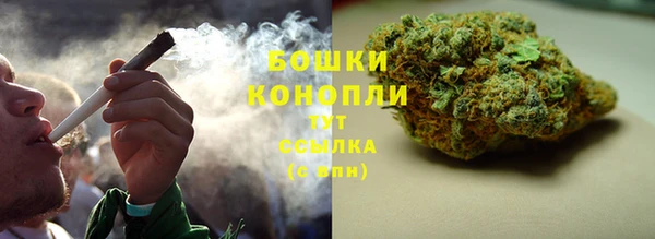спайс Сосновый Бор