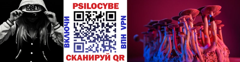 Галлюциногенные грибы Cubensis  Емва 